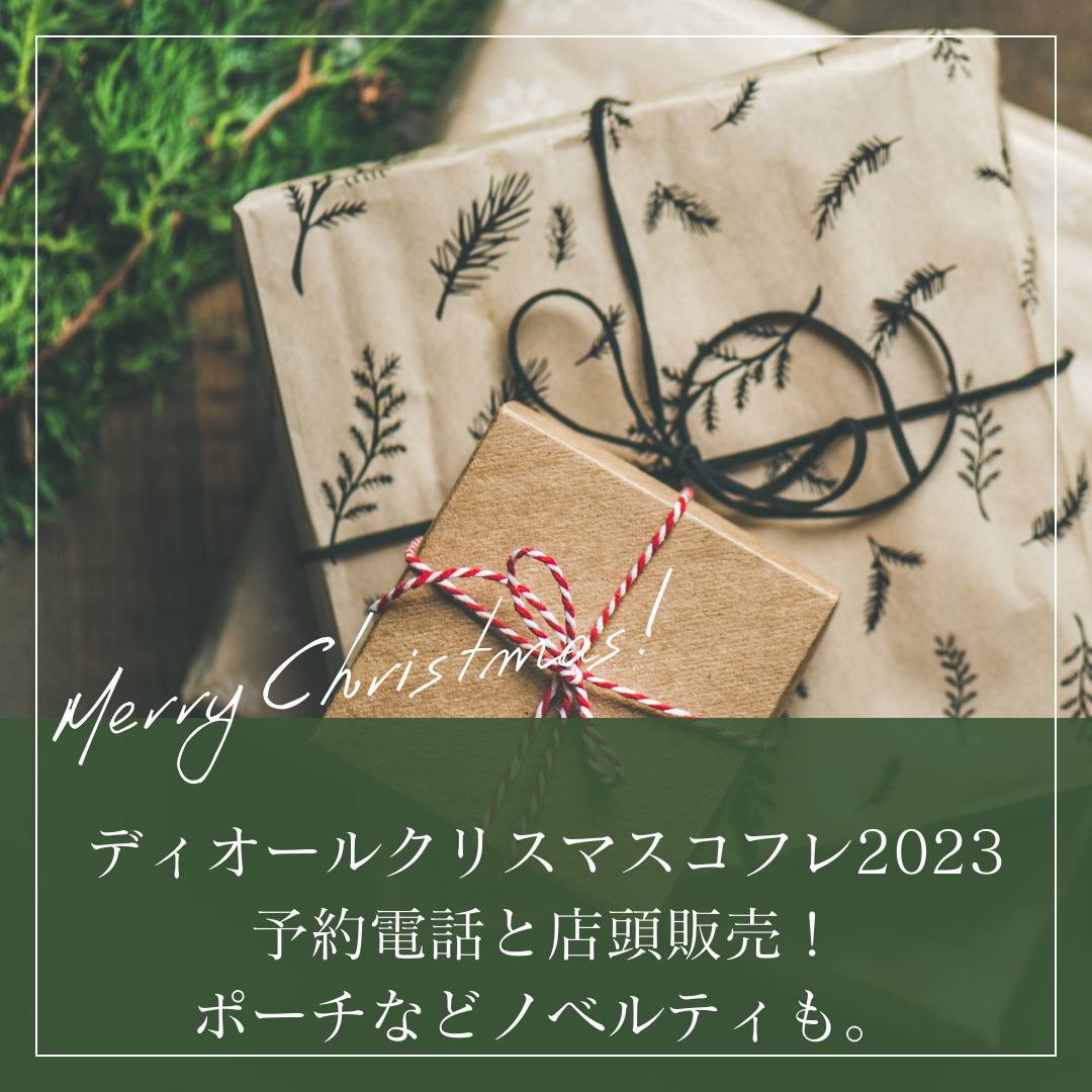 新製品新品未開封❤︎ディオール❤︎クリスマスオファー2021 ポーチセット ポーチ